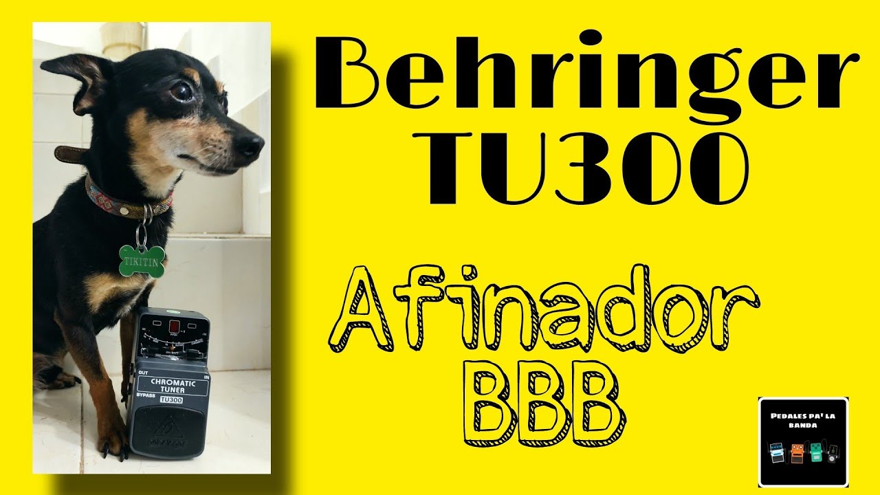 Behringer TU 300(en español) pedal afinador bueno, bonito y barato, vale la pena?