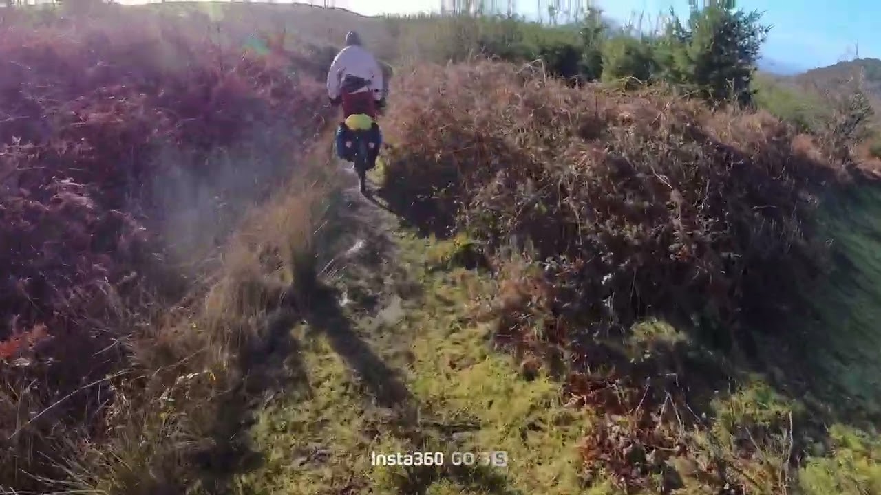 Descent into Margam park from the west