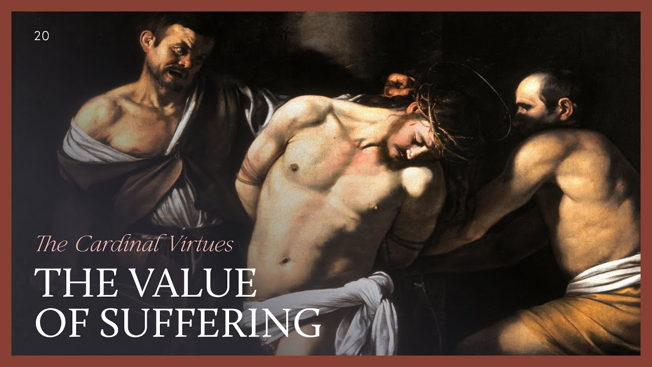The Value of Suffering | MEDITATIONS | Fr Gavan Jennings