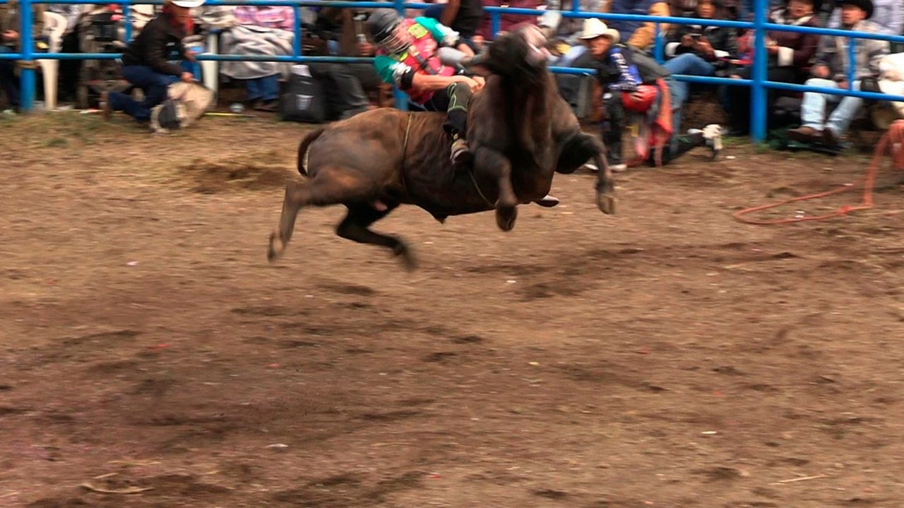 TOROS DE RANCHO EL CORTIJO VS JINETES LOBOS!! JARIPEO EN LA MOJONERA MICHOACAN 2026