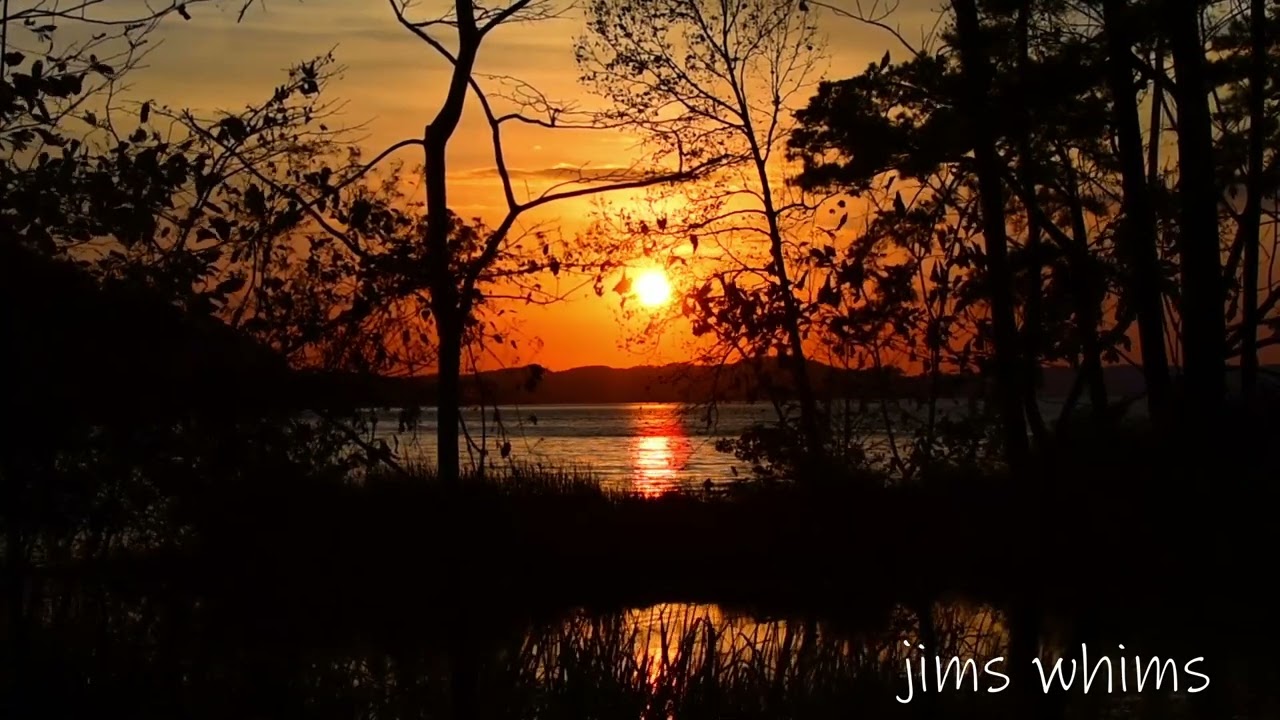 Sun Tales:  Lovely Setting Sun Reaching it's Peak Do You See The 