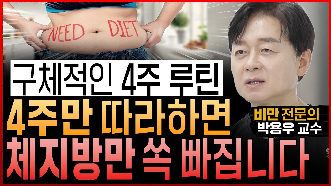 비만전문의도 성공해서 놀랐다! 체지방만 쥐어짜는 “솔직히 알려줘도 안 하는 4주 다이어트 구체적인 루틴” (비만연구만 33년 박용우 교수)