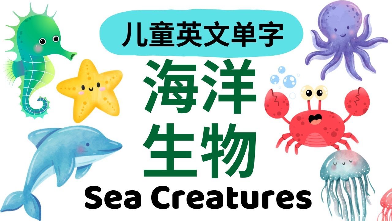 Learn Sea Creatures in English & Chinese | Fish, Dolphin, Octopus | 幼儿英文单词｜海洋生物词汇 | Bilingual Vocab