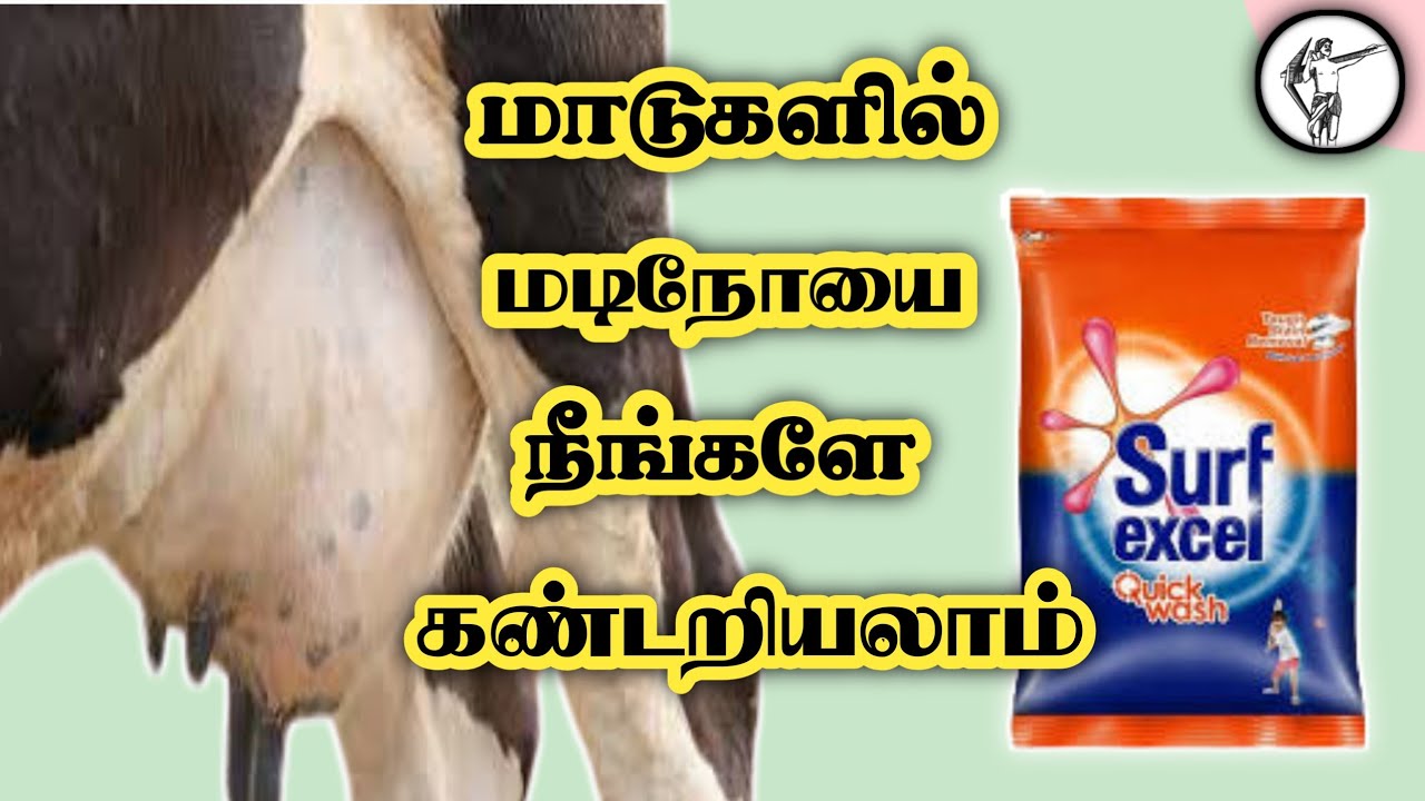 மடி நோயை நாமே கண்டறியலாம் | Know mastetis problem in tamil