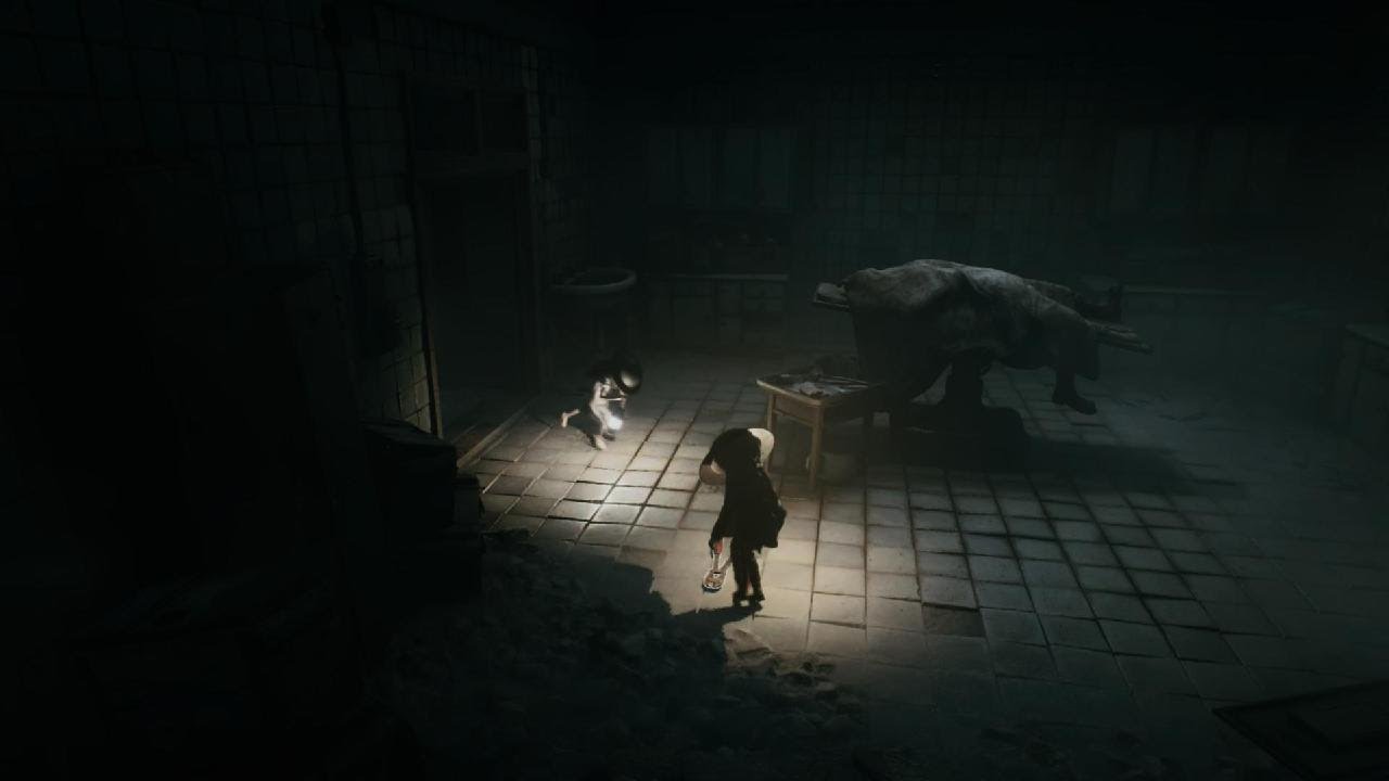 REANIMAL_20260215164525