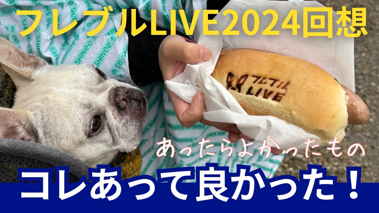 フレブルLIVE2024振り返り！あって良かったもの＆来年に向けたアイデア