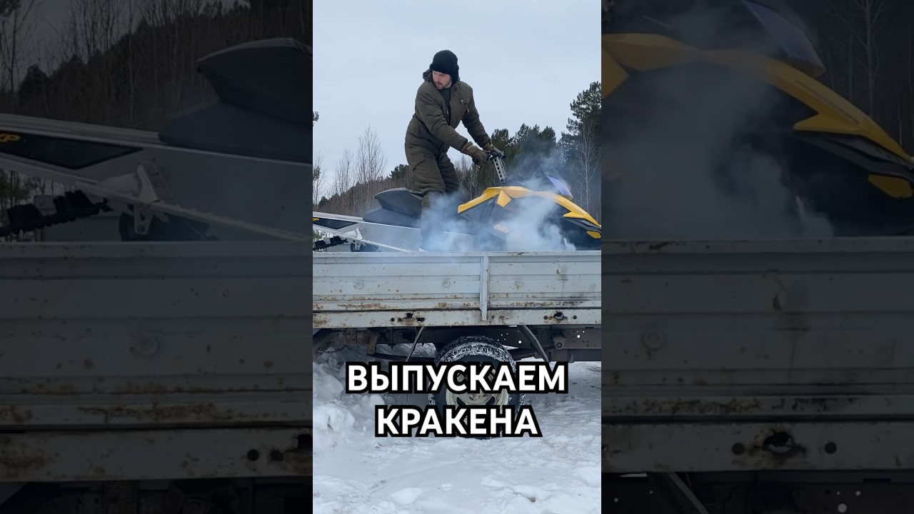 Снегоход BRP SKI DOO SUMMIT 800 #снегоход #brp #skidoo
