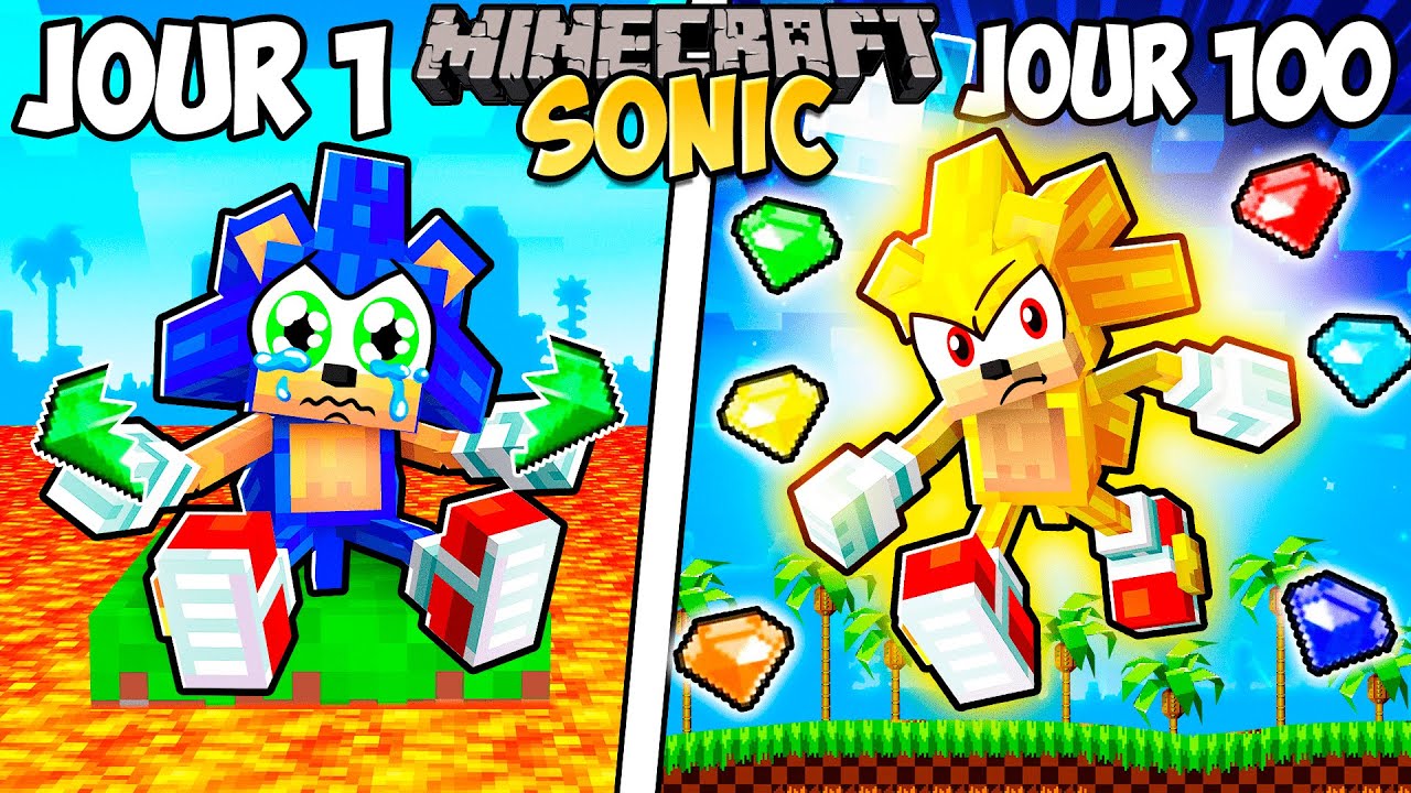 Survivre 100 Jours en Tant que SONIC sur Minecraft !