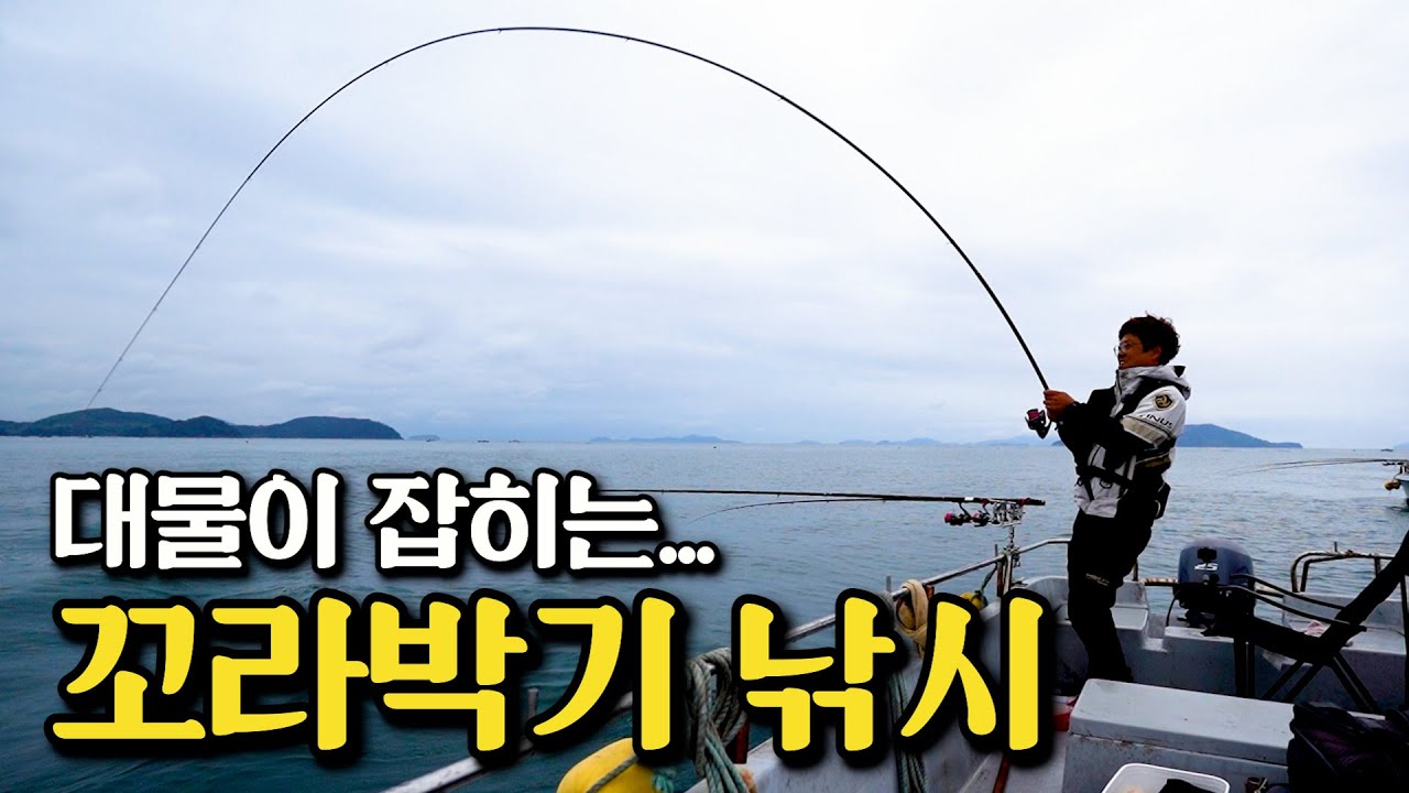 뜰채에 한번에 안들어가는 대물이 잡혔다!! 참돔 꼬라박기 낚시!! [박과장TV]