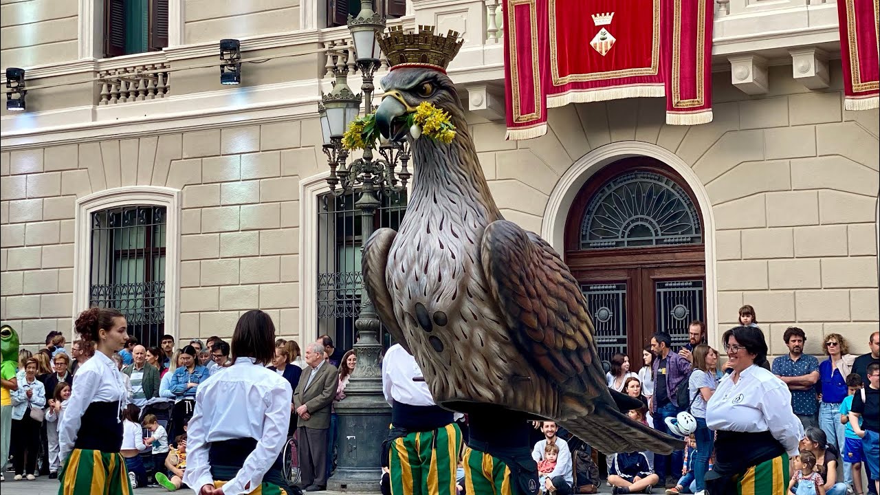 Àliga de Sabadell - Seguici de la Vigília de la Salut de Sabadell (12/05/2024)