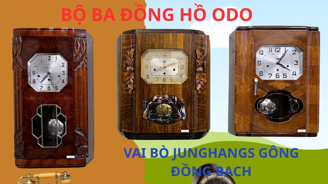TOÀN HÀNG VÍP , ODO 36/10 - ODO 54/10 - ODO 30/8 - VAI BÒ JUNGHANGS GÔNG ĐÒNG BẠCH !