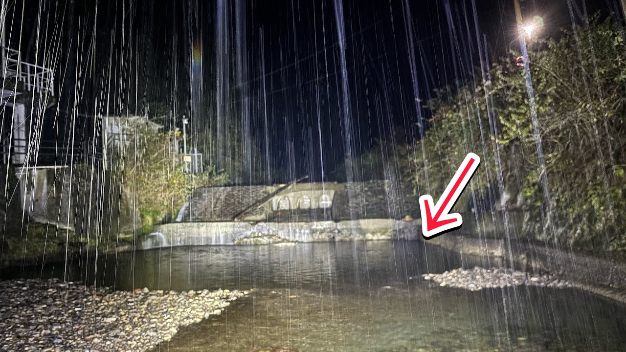 京都の渓流でガサガサしてたら現生世界最大の〇〇が...