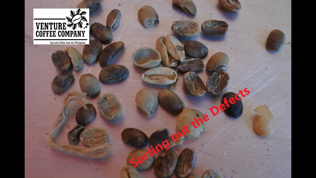 Green Coffee Sorting