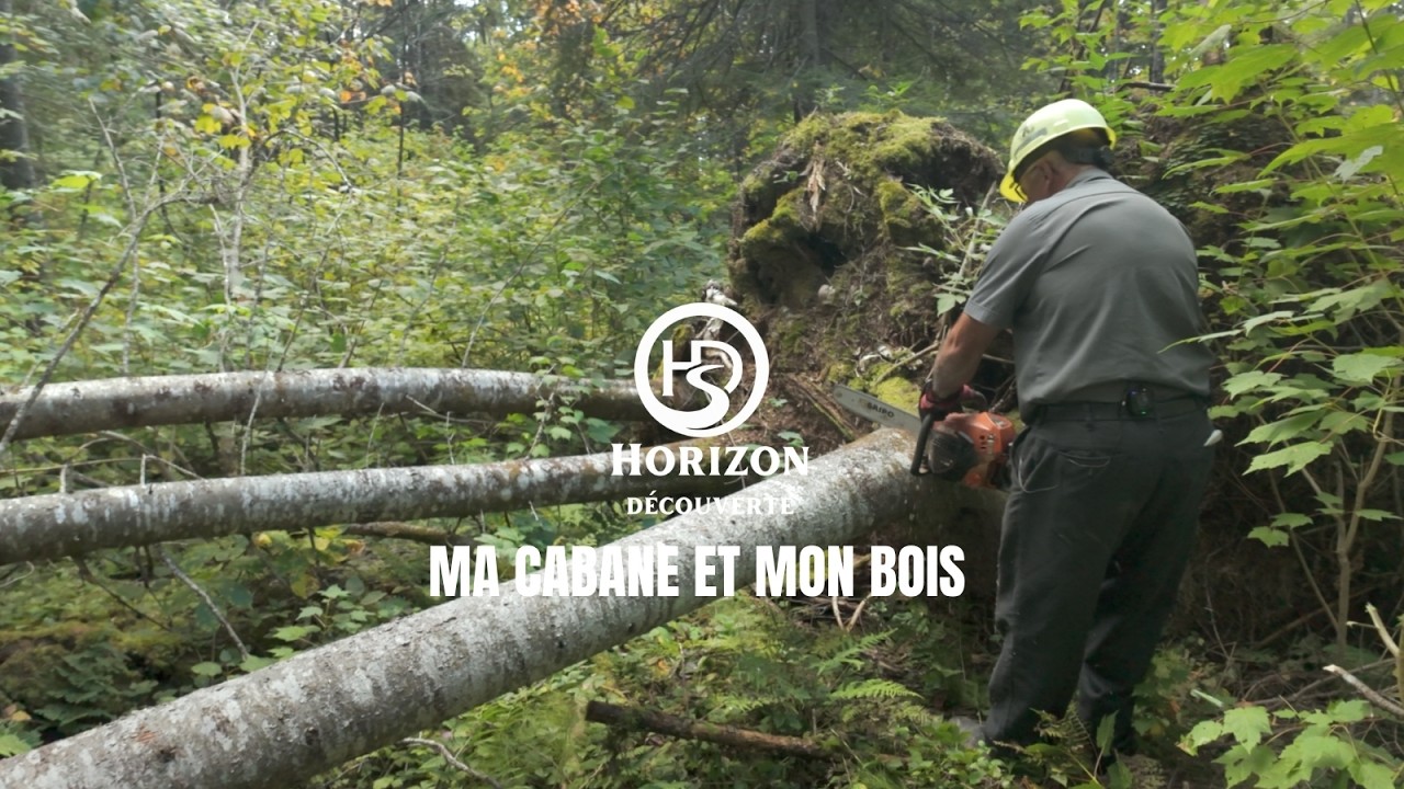 Horizon Découverte: Ma cabane et mon bois