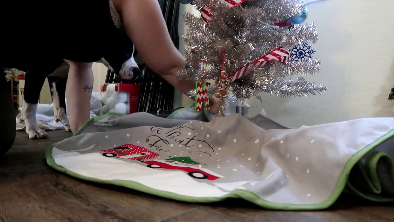 Decorating for Christmas + Looking at lights Vlog