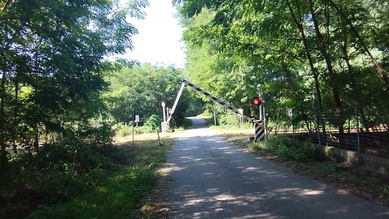 LE MITICHE FS64 RESISTONO ANCORA SU QUESTA LINEA! Passaggio a livello a Prato Sesia e treno storico!