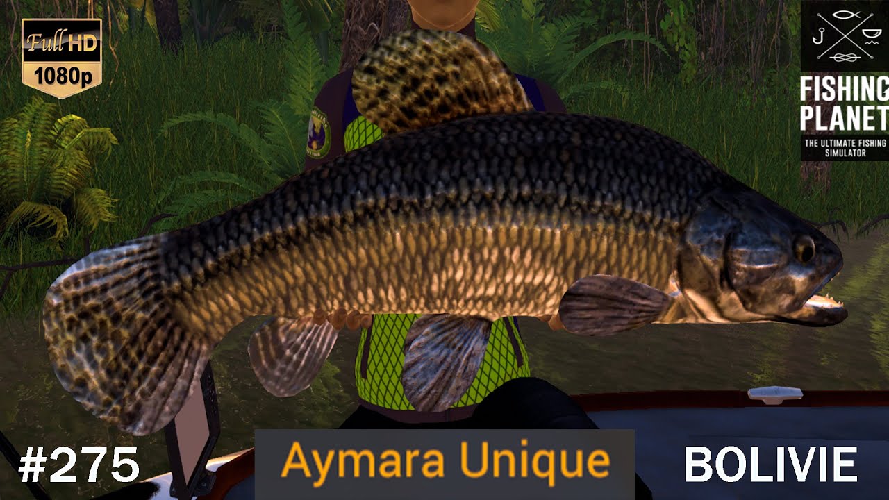 FISHING PLANET #275 P&Ecirc;CHE DU TERRIBLE AYMARA UNIQUE SUR LA RIVI&Egrave;RE MARRON EN BOLIVIE !