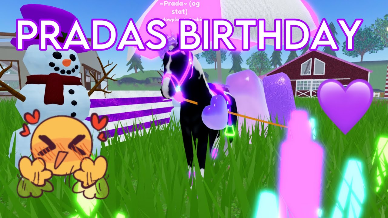 PRADAS BIRTHDAY💝🐴 | Wild horse islands