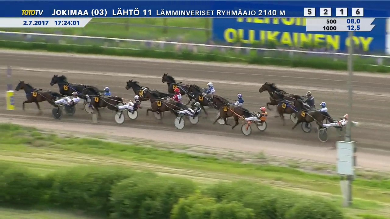 Lämminveristen Suur-Hollola Ajo 2017 - Venice