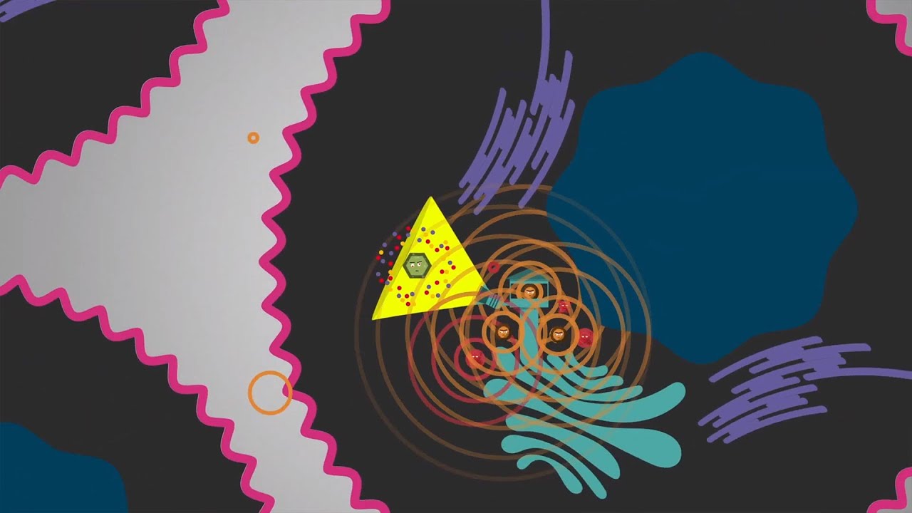 How Viruses Evade the Innate Immune System