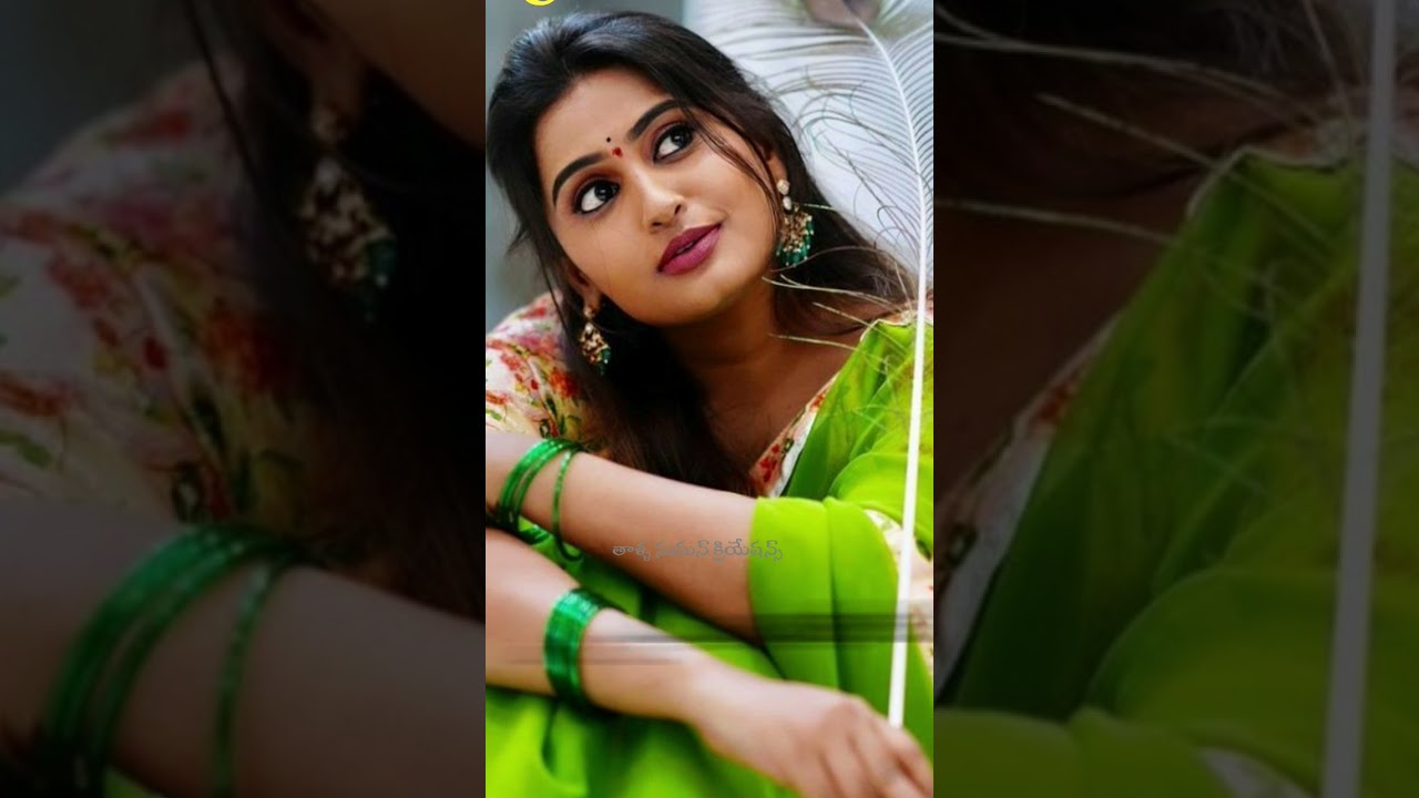 పుణ్యరేఖ నీవులే 