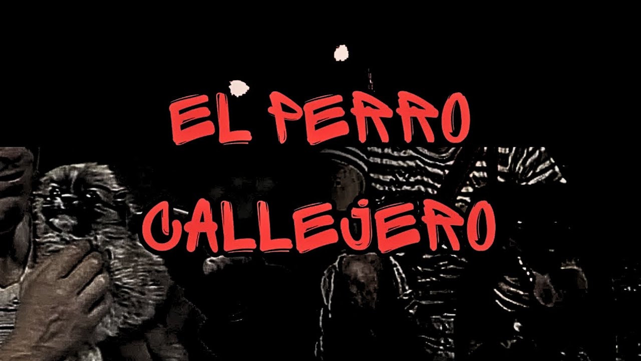 Creepypasta del Chavo del 8 - El Perro Callejero (Loquendo)