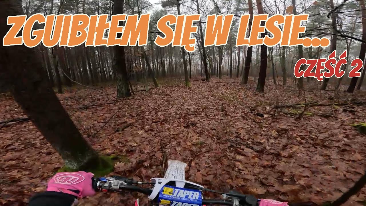 ZGUBIUŁEM SIĘ W LESIE...? (CIĄG DALSZY😬😰