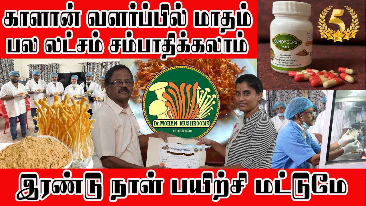 ஒரு கிலோ காளான் ₹1,80,000 ரூபாயா ? காளான் வளர்த்து நீங்களும் லட்சாதிபதி ஆகலாம்