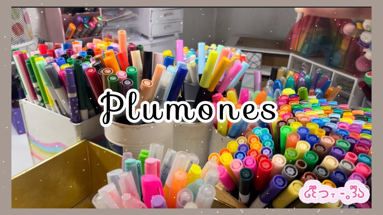 ORGANIZANDO MIS PLUMONES, PLUMAS Y WASHI TAPE 🌸