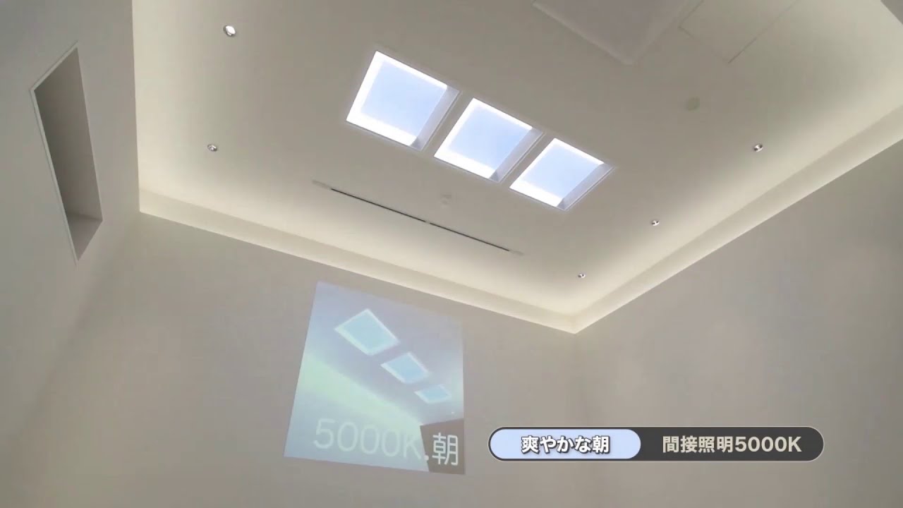 青空照明misola　製品のご紹介【三菱LED照明】
