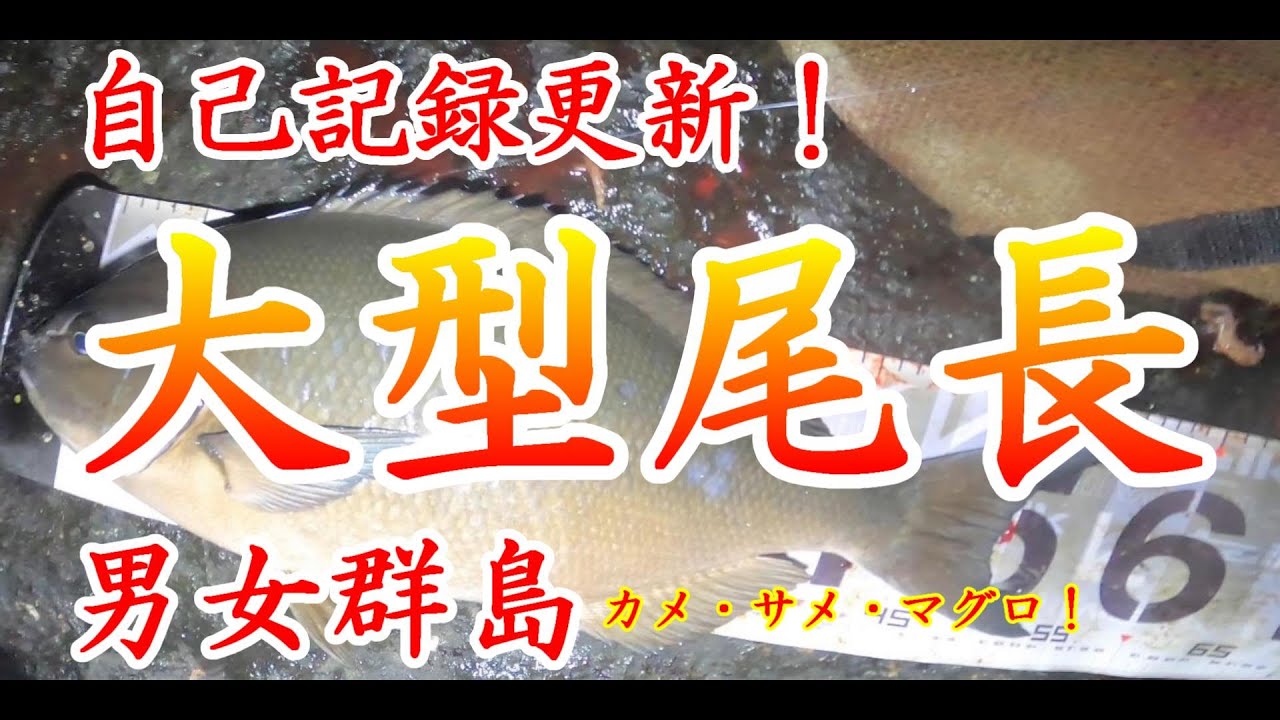 尾長入れ食いTime到来！規格外の外道もキタッ！(呼んでないけど・・・(笑))。男女群島3日目最終編。