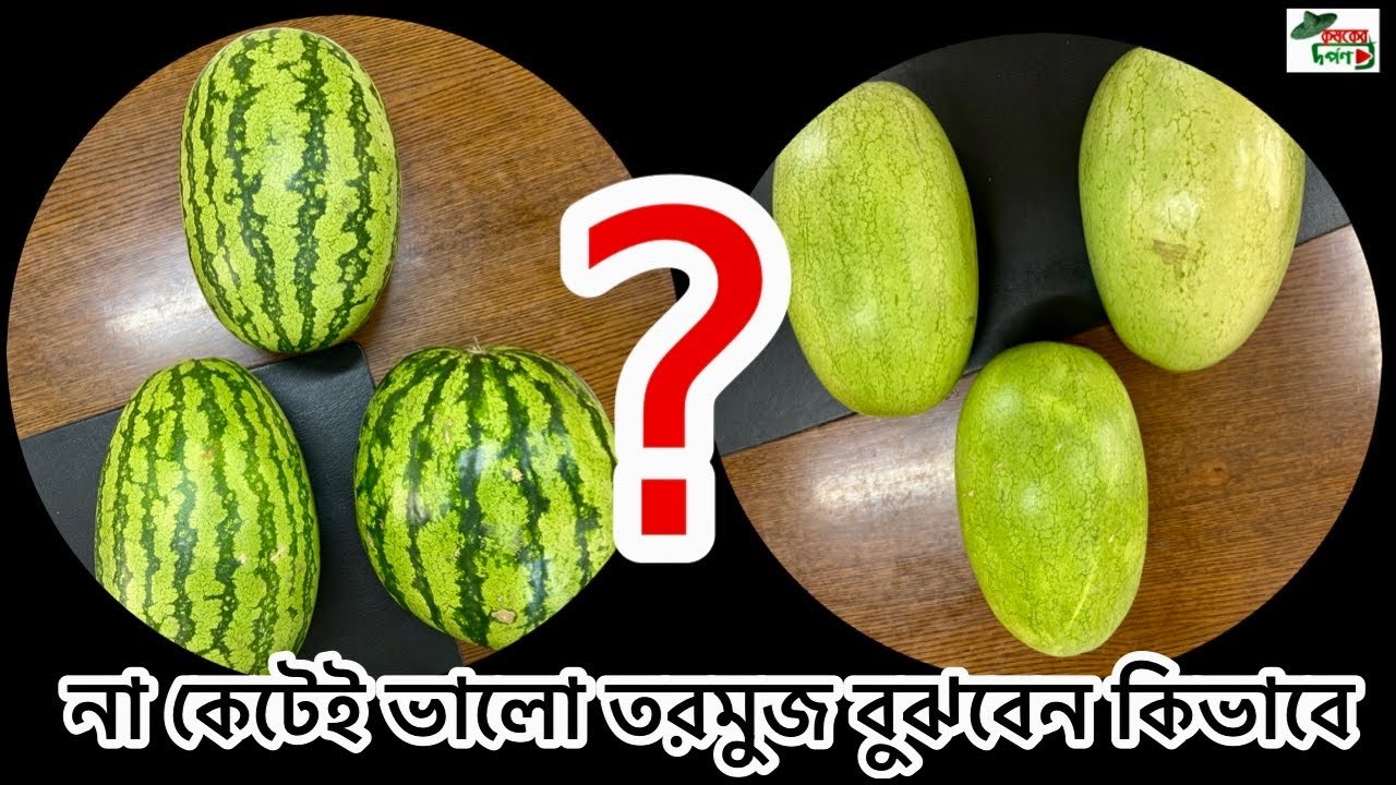 না কেটেই পাকা তরমুজ চিনবেন যেভাবে / How to find a good watermelon?