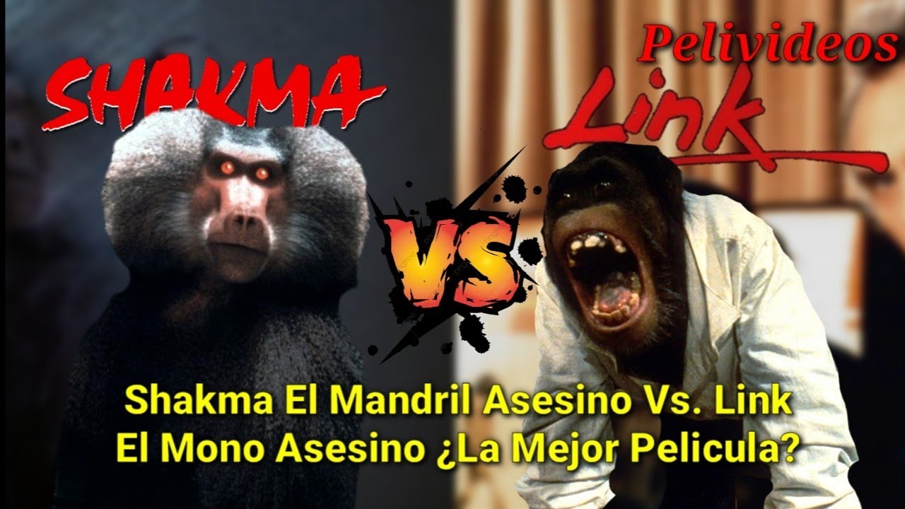 Shakma El Mandril Asesino Vs. Link | Pelivideos Oficial