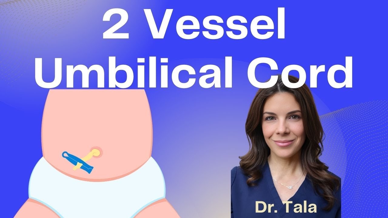 2 Vessel Cord - Tala Talks NICU