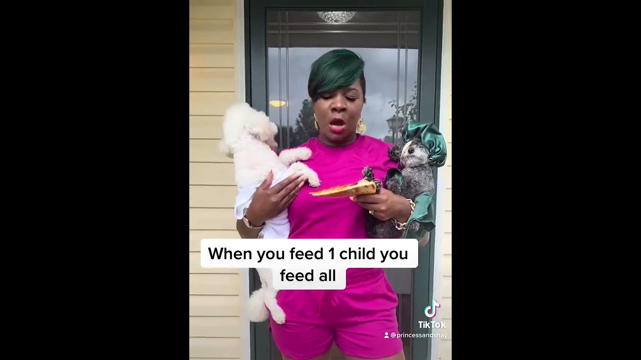 Dog baby daddy feeds 1 child #petinfluencer#instadogs#doginfluencer#dogvideo#funnydogs#funnydogs#pet