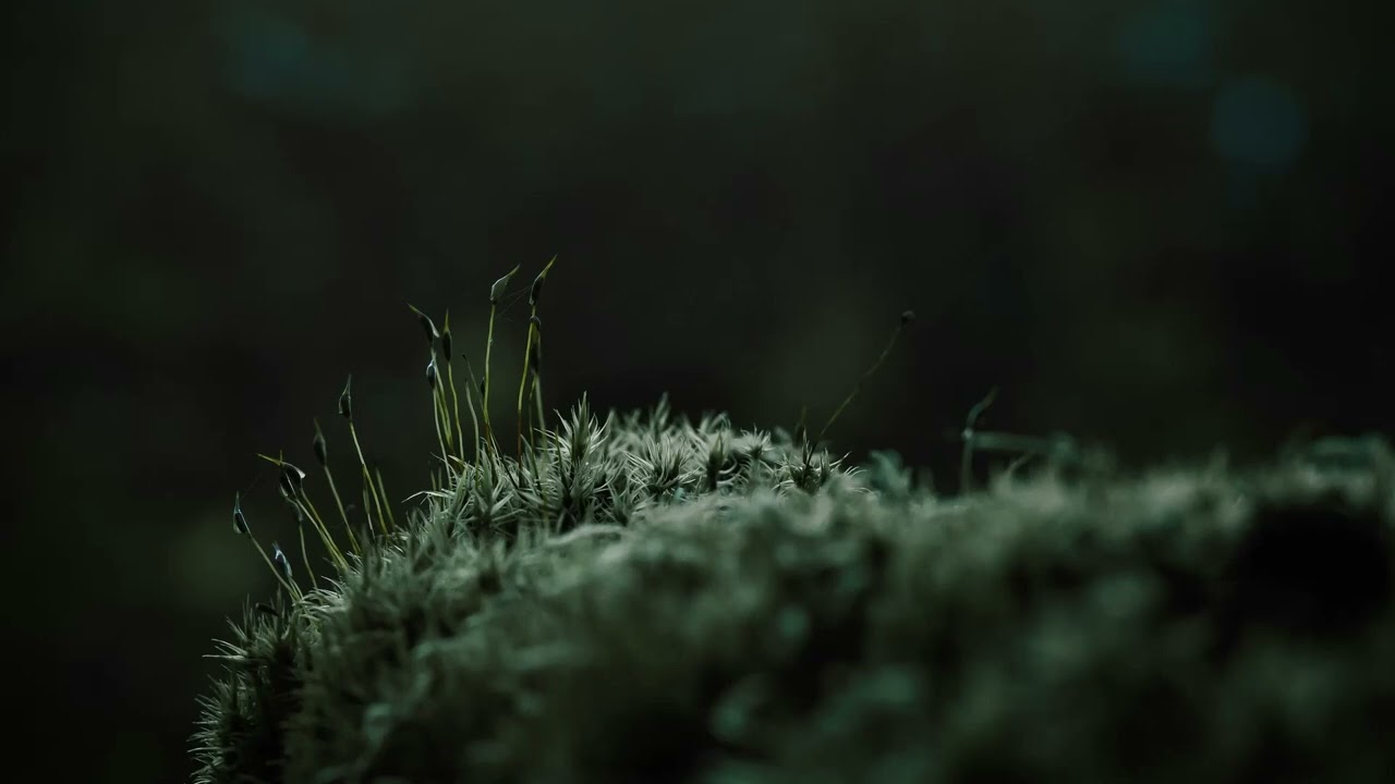 Mindful leaning