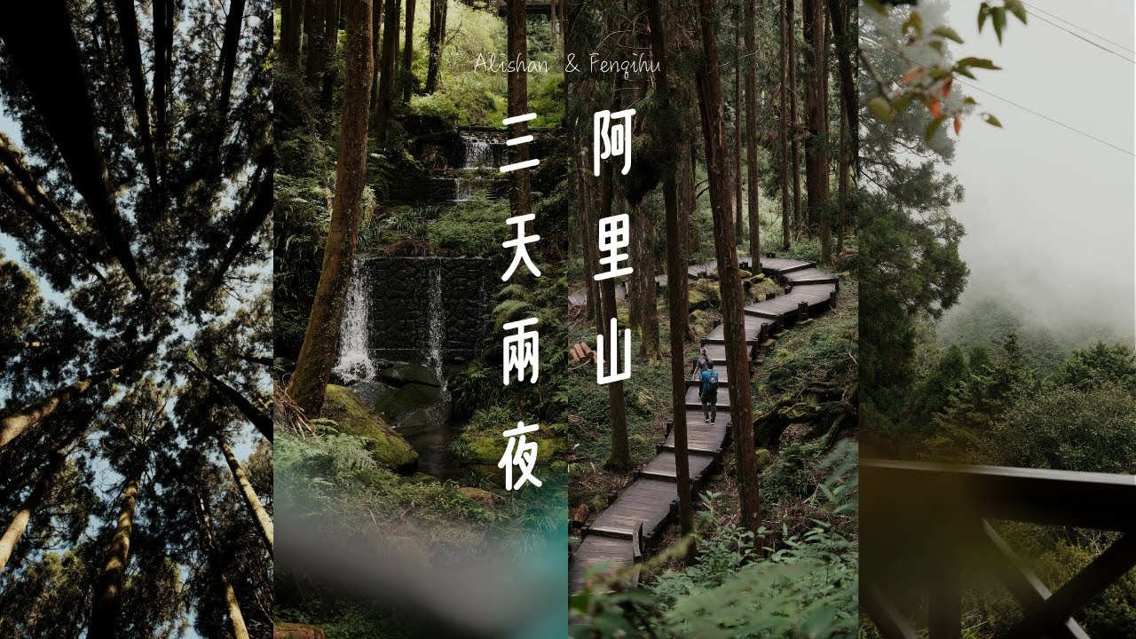 【國內旅遊𝗩𝗟𝗢𝗚³】阿里山三天兩夜🍂|奮起湖老街必吃美食✨|🪵阿里山民宿推薦🛏️茶日民宿|嘉義市區美食🐮|嘉楠風華酒店開箱❤️|IKEA的爆米花好好吃~~