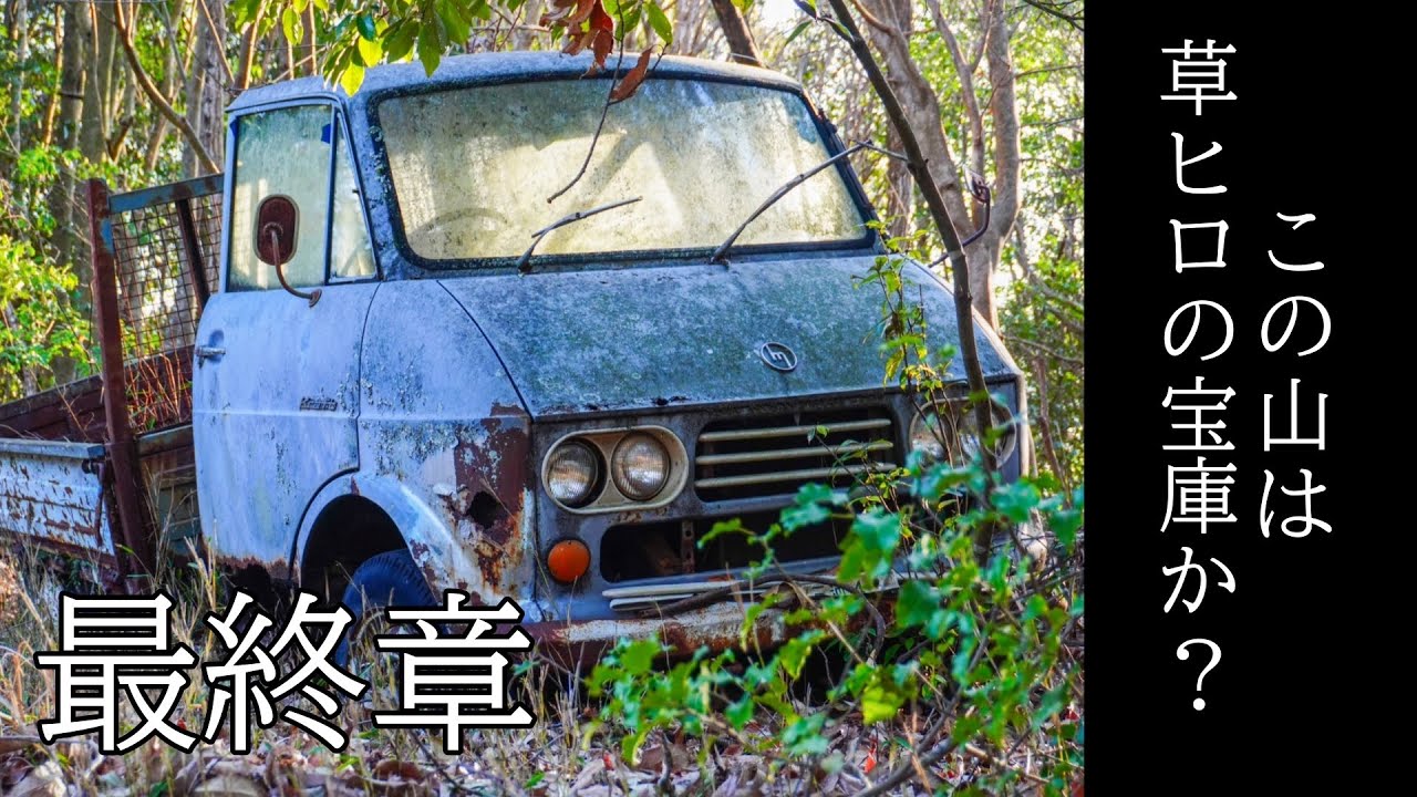 無数の草ヒロ群を撮影し、頂上で待ち構えていた草ヒロとは？？