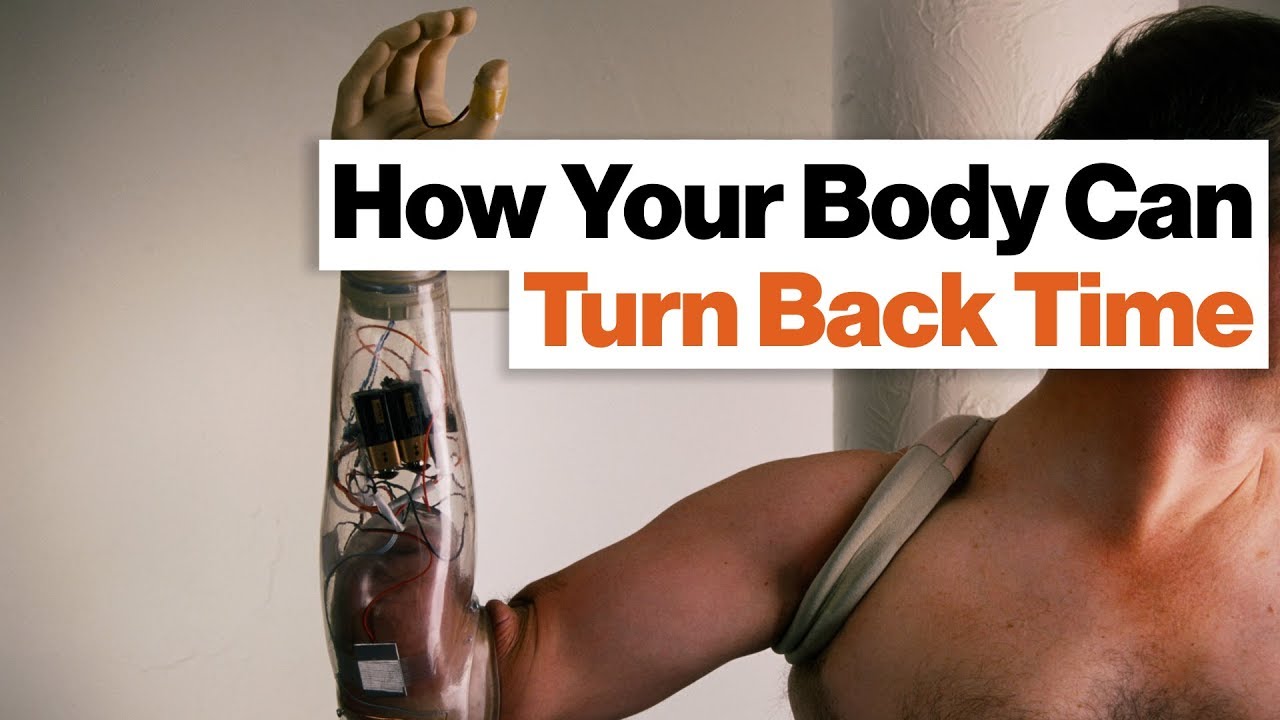 How to Regenerate the Human Body: Hearing Loss, Baldness, Burn Wounds | Chris Loose | Big Think