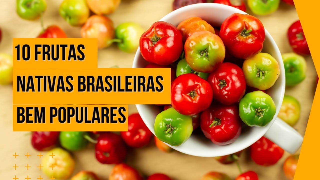 [FRUTAS NATIVAS DO BRASIL] Conhe&ccedil;a os benef&iacute;cios dessas frutas NATIVAS do Brasil!!!