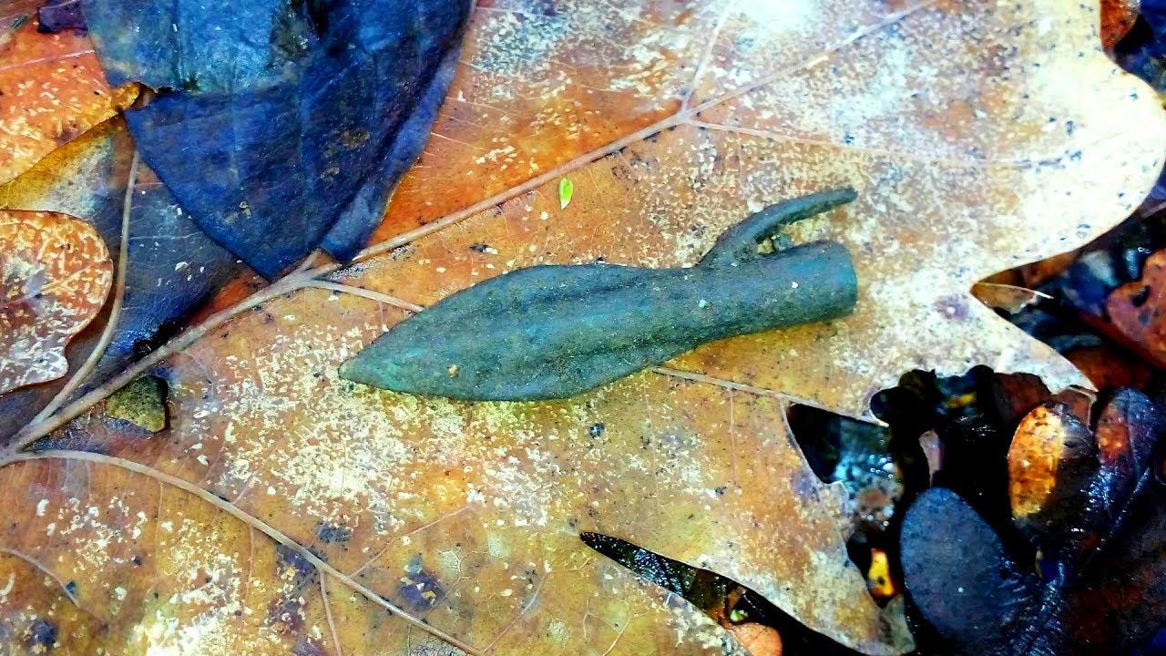 Индонезия лес Minelab ctx 3030
