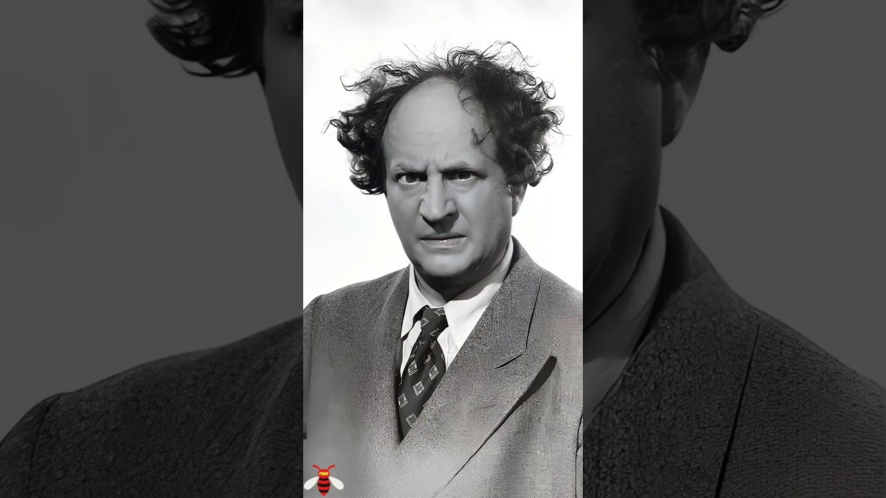 Larry Fine: A Tribute to a Comedy Legend 