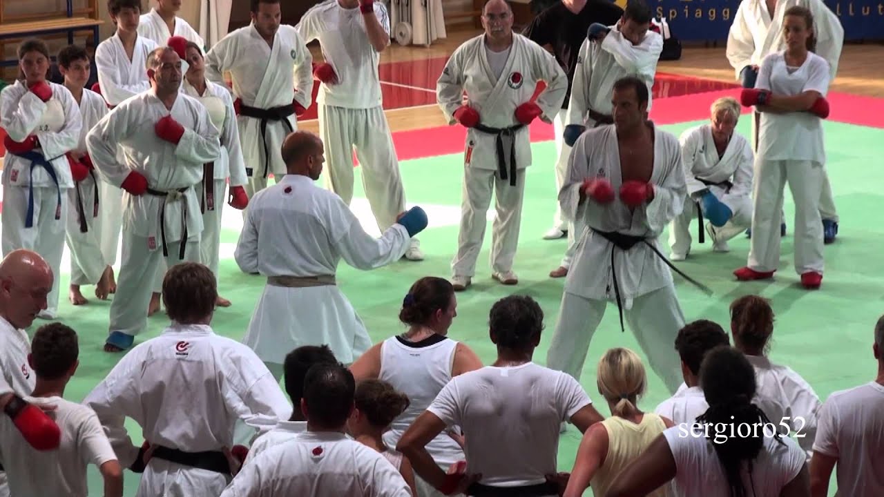 Christophe PINNA-Kumite Seminar-2011-part 3 of 4 (HD)