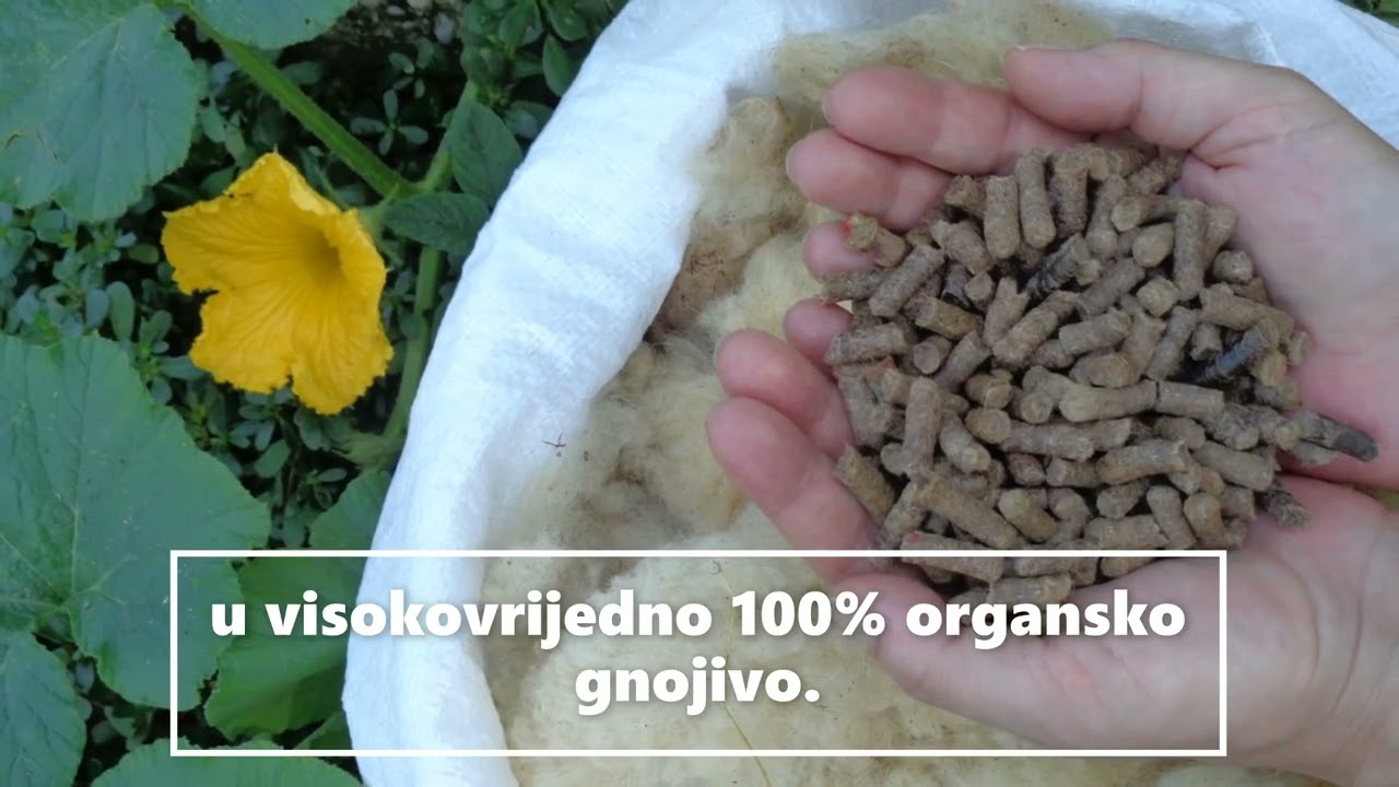 Kako nastaje WOONA - eko organsko gnojivo od 100% peletirane ovčje vune