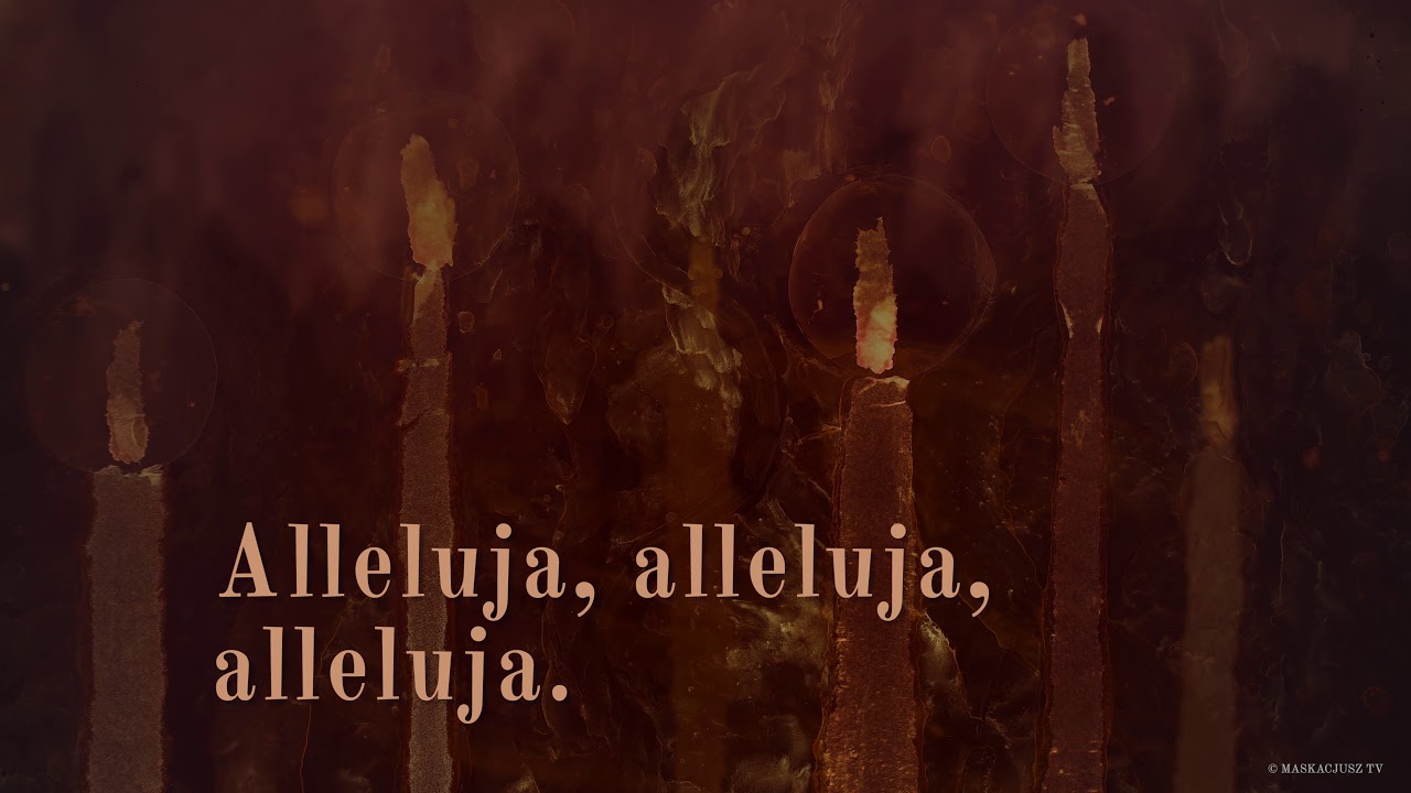 #PsalmResponsoryjny | 20 kwietnia 2019 | Liturgia Wigilii Paschalnej | Psalm 8
