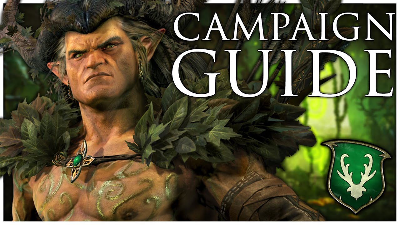 Wood Elves Immortal Empires Campaign Guide | Total War Warhammer 3