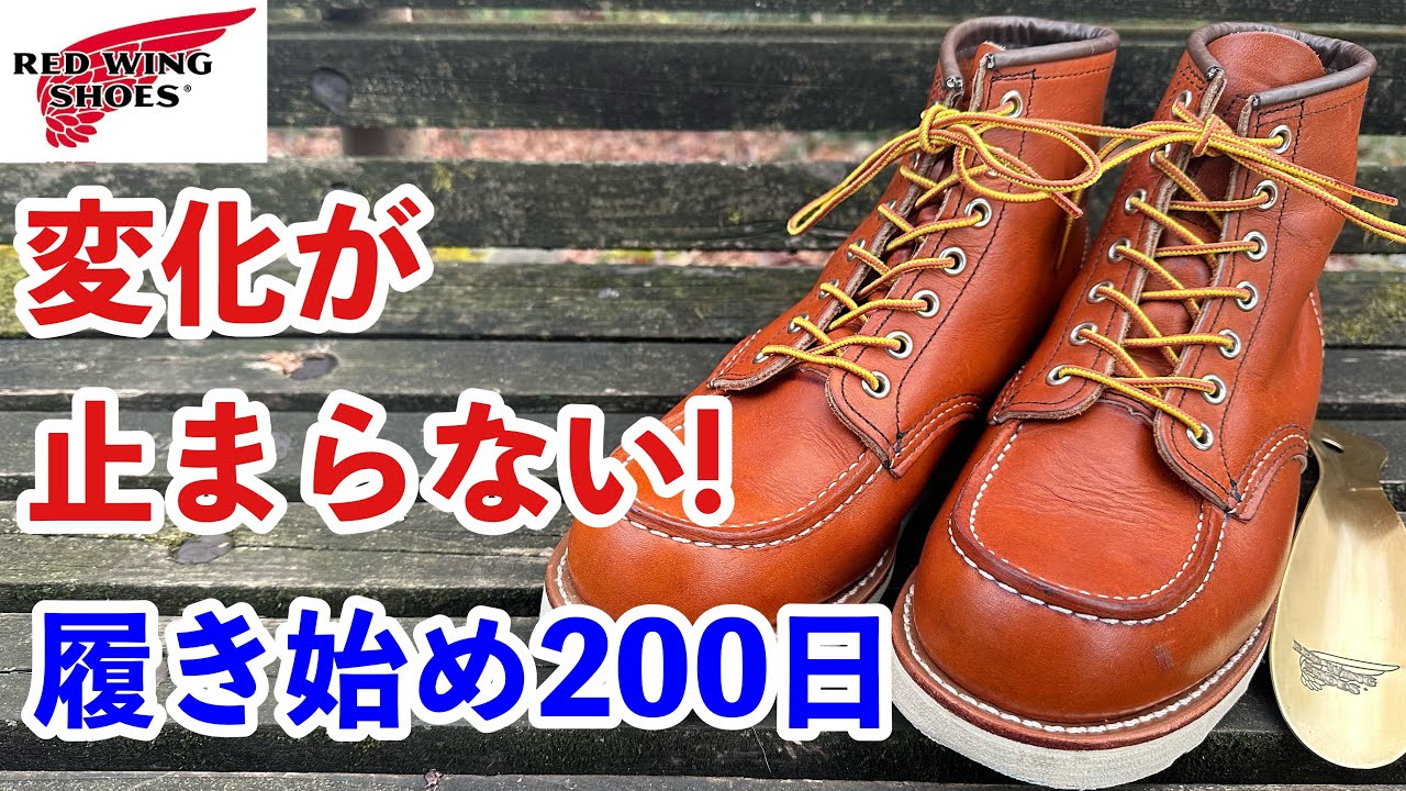 【レッドウィング】アイリッシュセッター875が履き始め200日経過！経年変化・エイジングの報告！