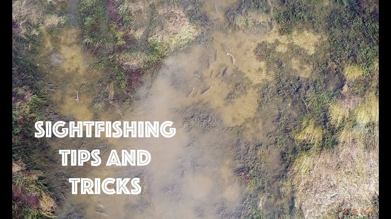 SIghtfishing tips and tricks for Louisiana Redfish (Awesome Drone Eats)