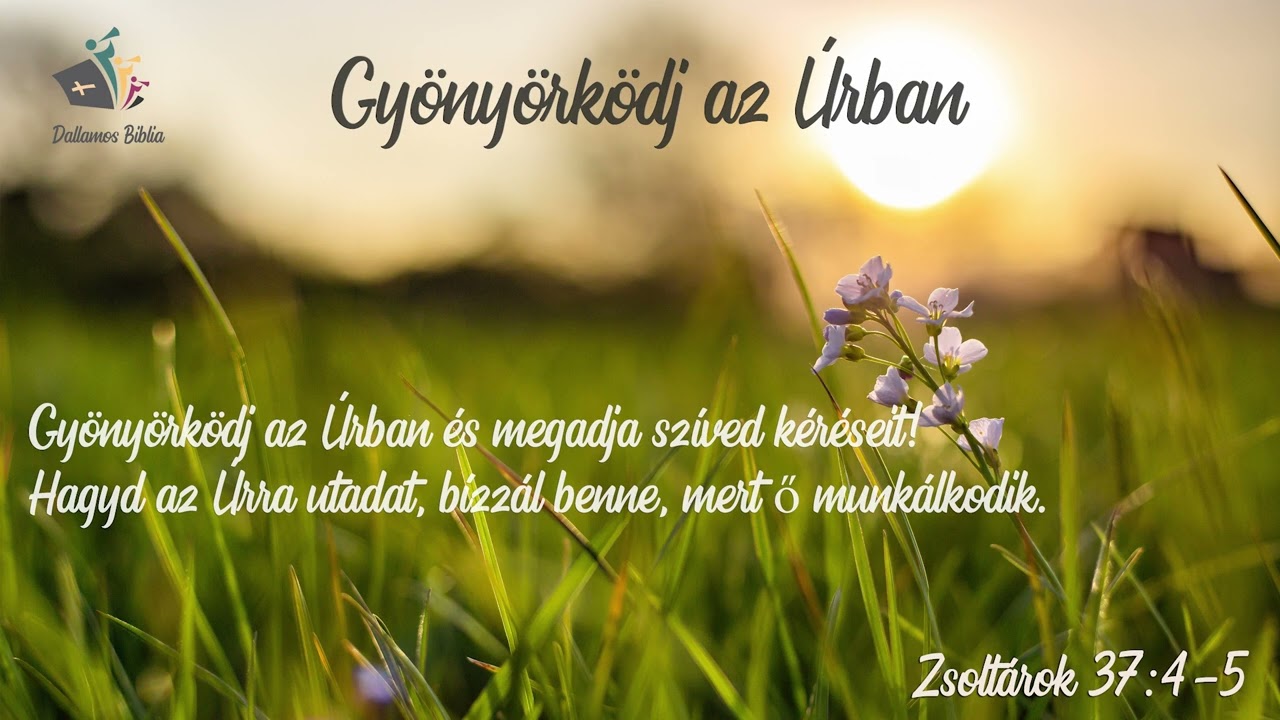 Gy&ouml;ny&ouml;rk&ouml;dj az &Uacute;rban - Dallamos Biblia