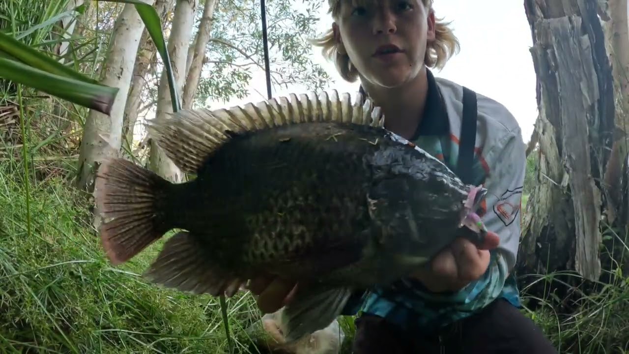 Fresh water fishing for talapia!!! (With lures)2nd video sorry if its bad 